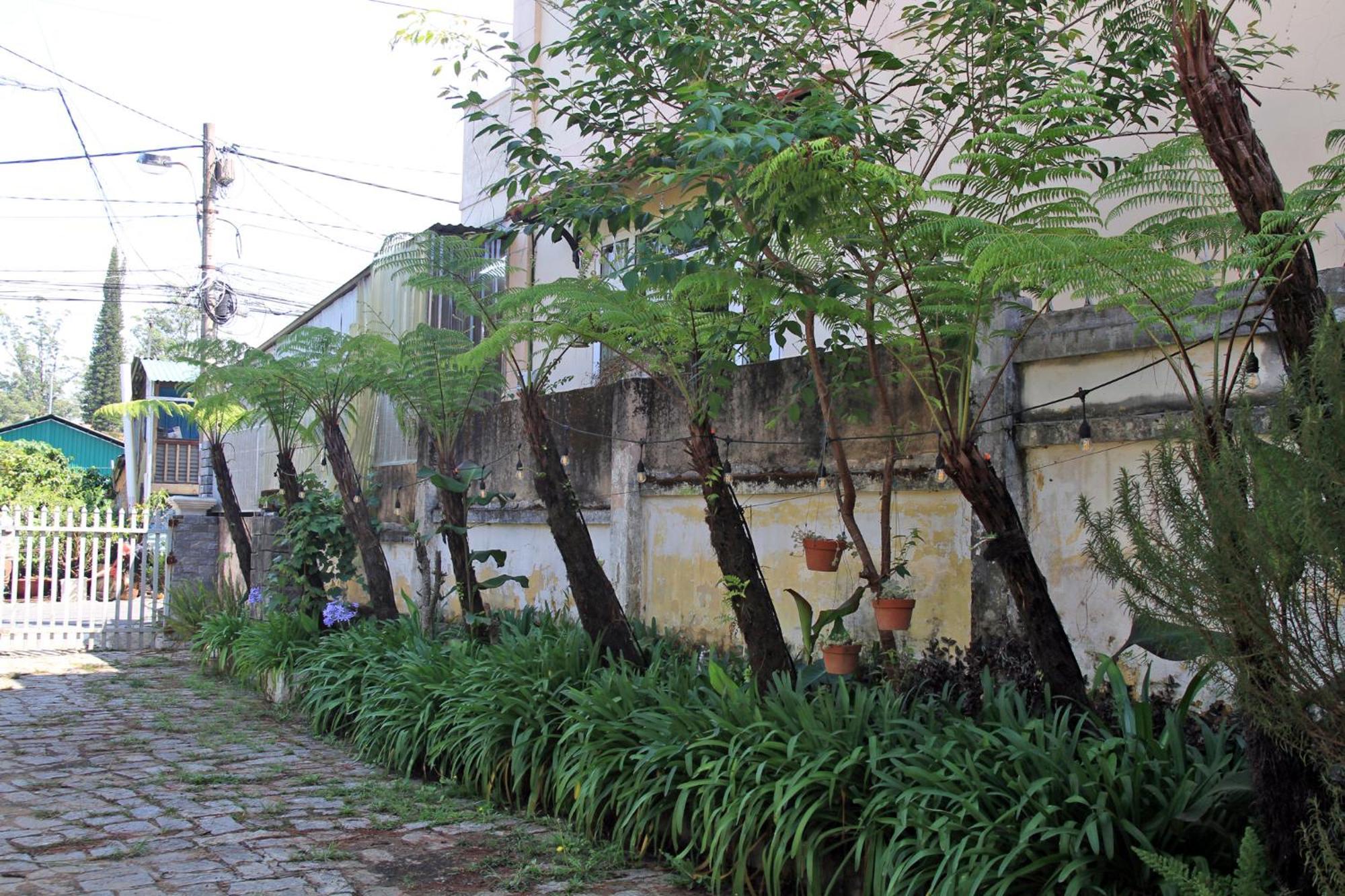 Homestaynhatuiminh دالات المظهر الخارجي الصورة